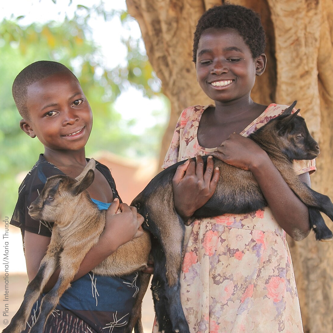 Children with goats
