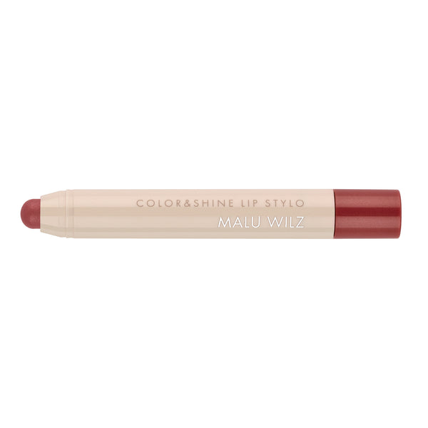 COLOR & SHINE LIP STYLO