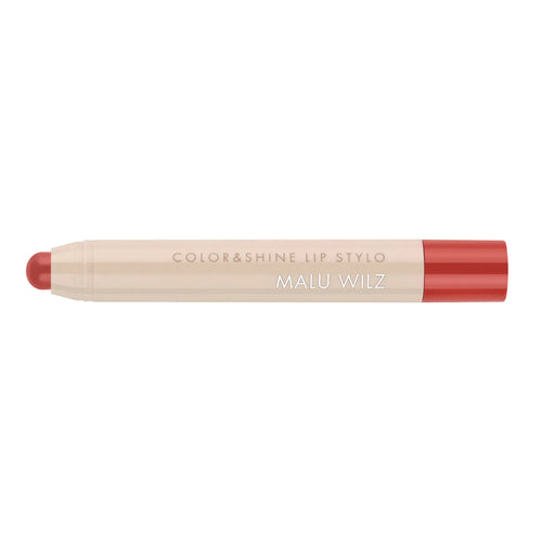 COLOR & SHINE LIP STYLO