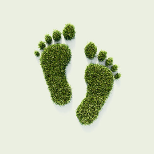 Zwei aus grünem Gras geformte Fußabdrücke auf hellem Hintergrund als Symbol für Nachhaltigkeit.