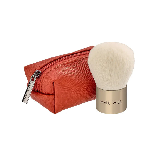 TOUCH UP BRUSH & BAG